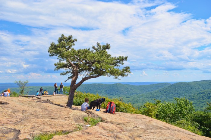 Hike hikethehudsonvalley